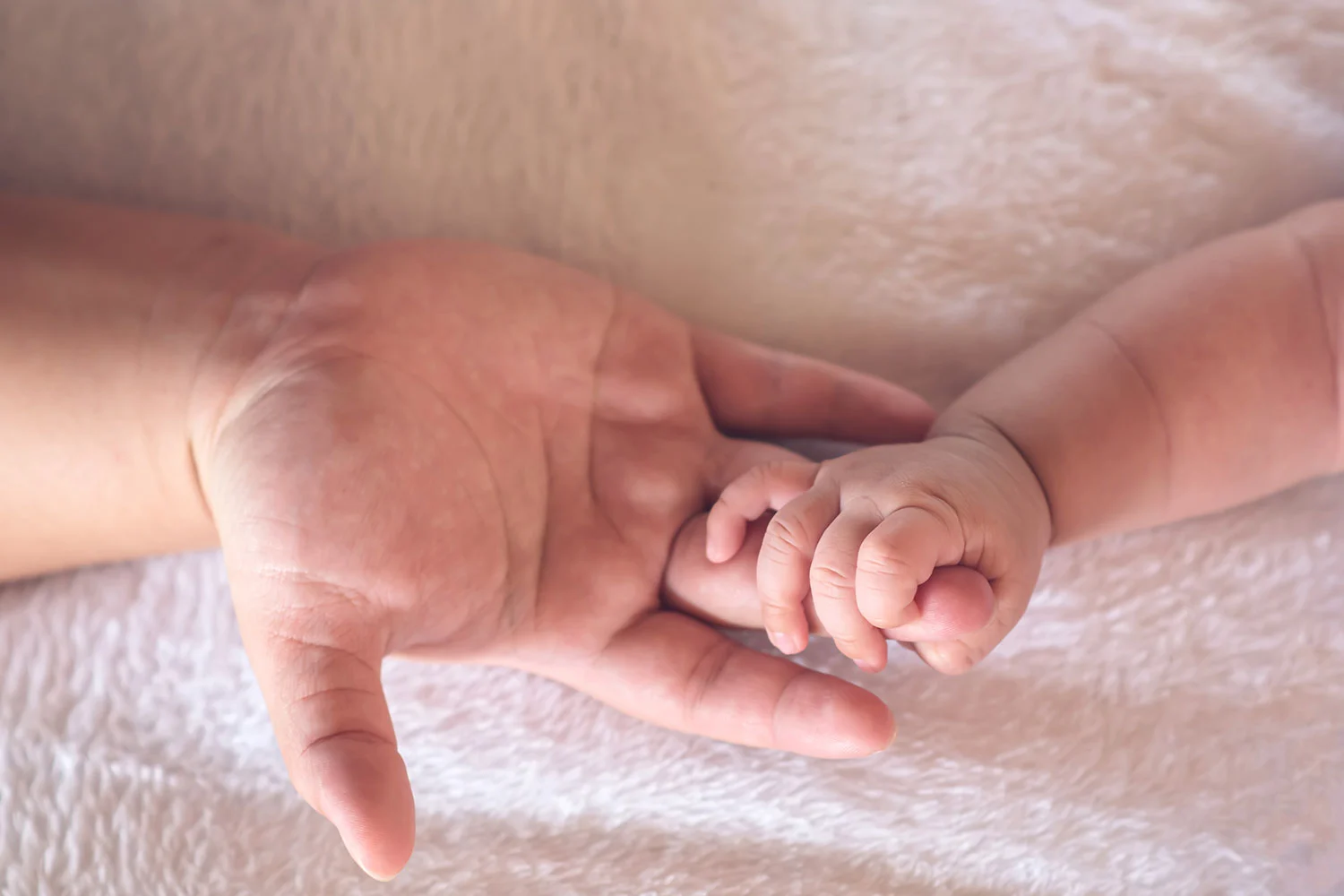 3. týždeň tehotenstva: Cesta k uhniezdeniu